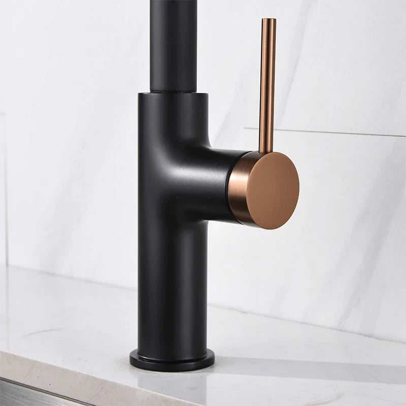 Boelon Elegant Kitchen Faucet