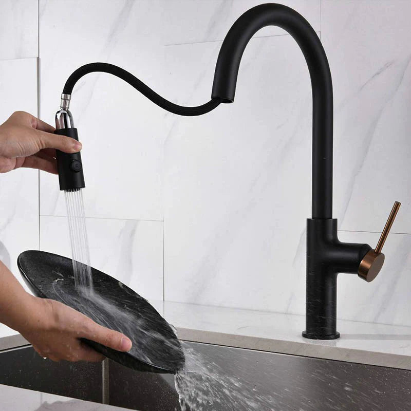 Boelon Elegant Kitchen Faucet