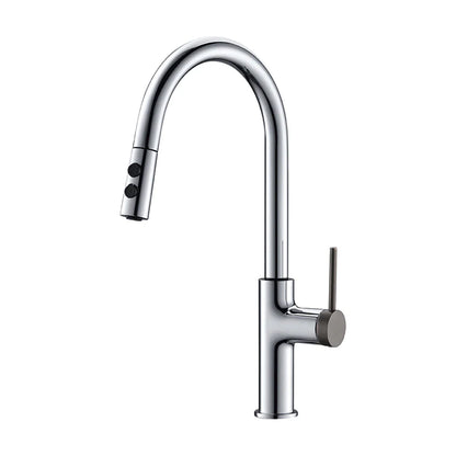 Boelon Elegant Kitchen Faucet